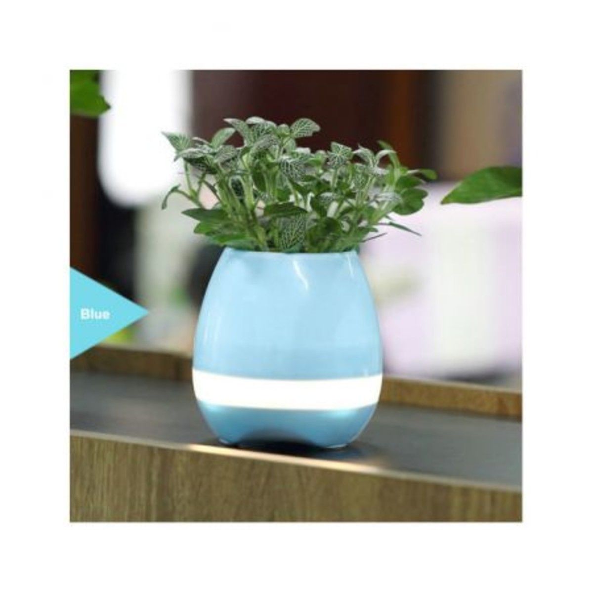https://img.bestdeals.co.nz/products_pictures/183/18362_138504_F.jpg