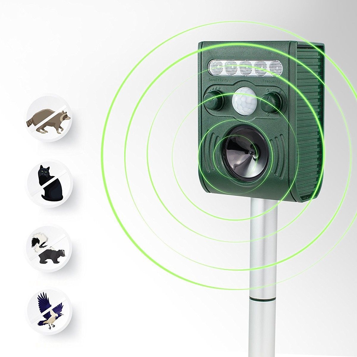 https://img.bestdeals.co.nz/products_pictures/184/18434_139338_F.jpg