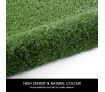 Edengrass 1Mx10M 12mm Artificial Grass Synthetic Turf Fake Lawn