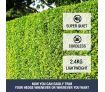 Cordless Hedge Trimmer Handheld Battery Powered Garden Tool W/ Blade Cover