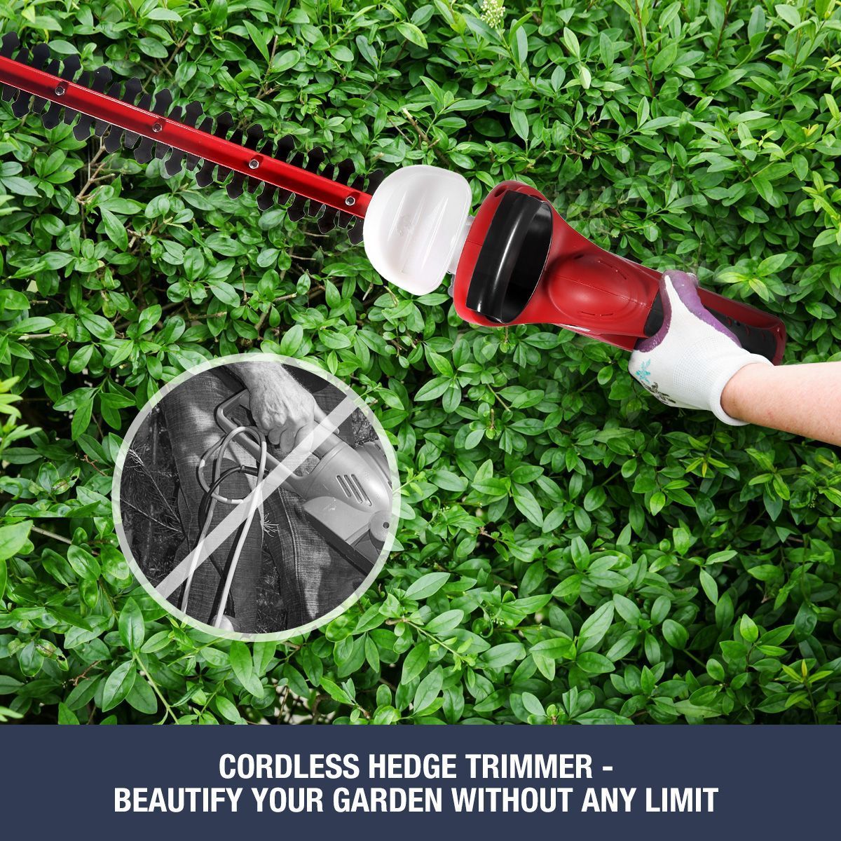 https://img.bestdeals.co.nz/products_pictures/185/18574_140775_F.jpg