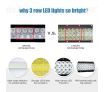 20" 1480W Cree LED Light Bar Spot Flood Combo Work Light Offroad Truck Jeep Driving Lamp 12V 24V