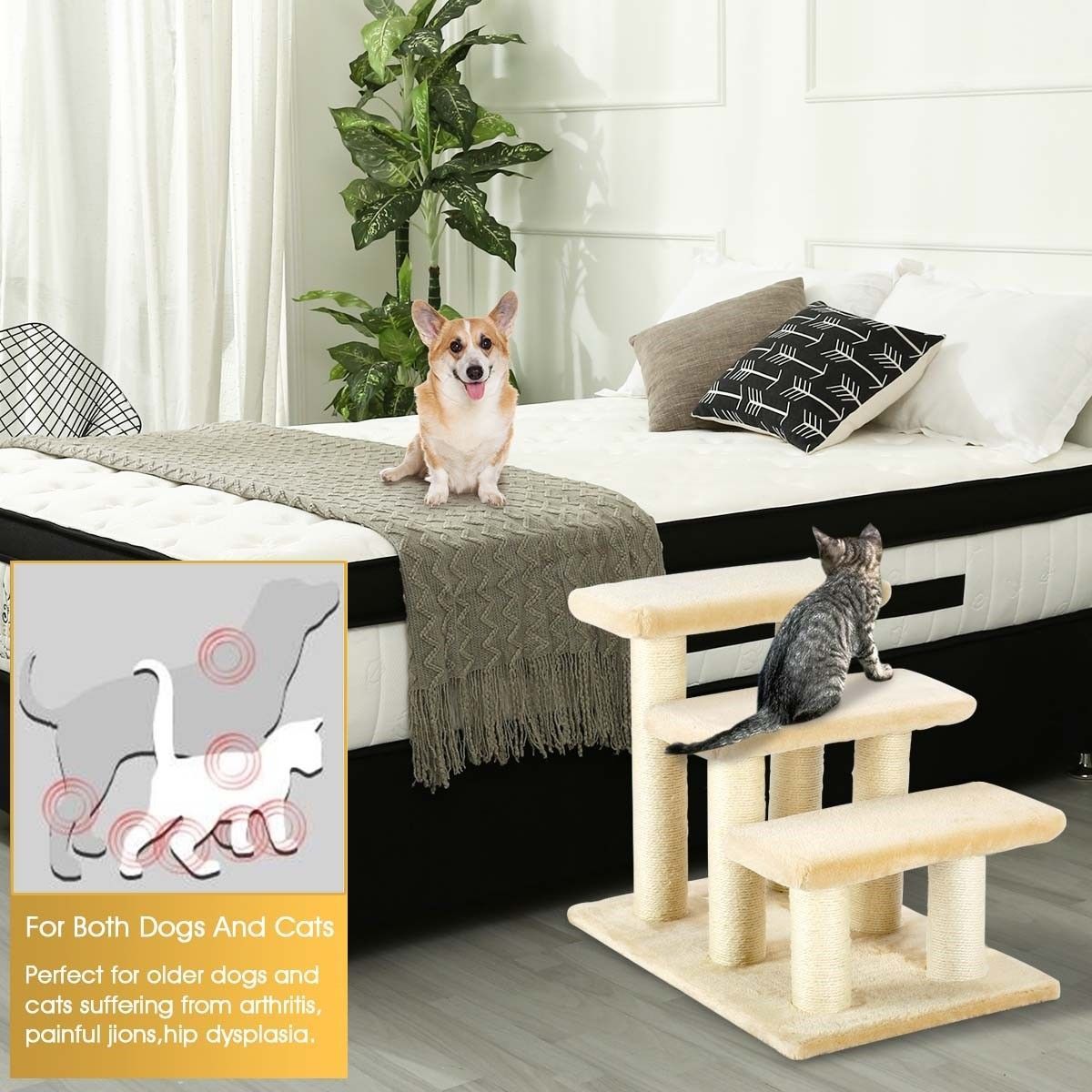 https://img.bestdeals.co.nz/products_pictures/186/18616_141233_F.jpg