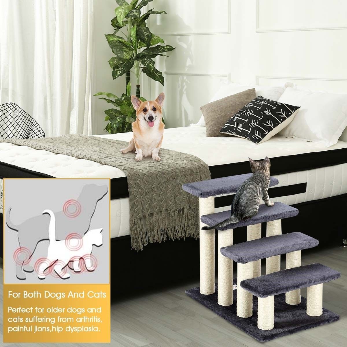 https://img.bestdeals.co.nz/products_pictures/186/18617_141245_F.jpg