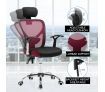 Adjustable Breathable Ergo Mesh Office Computer Chair w/ Lumbar Support - Black/Red
