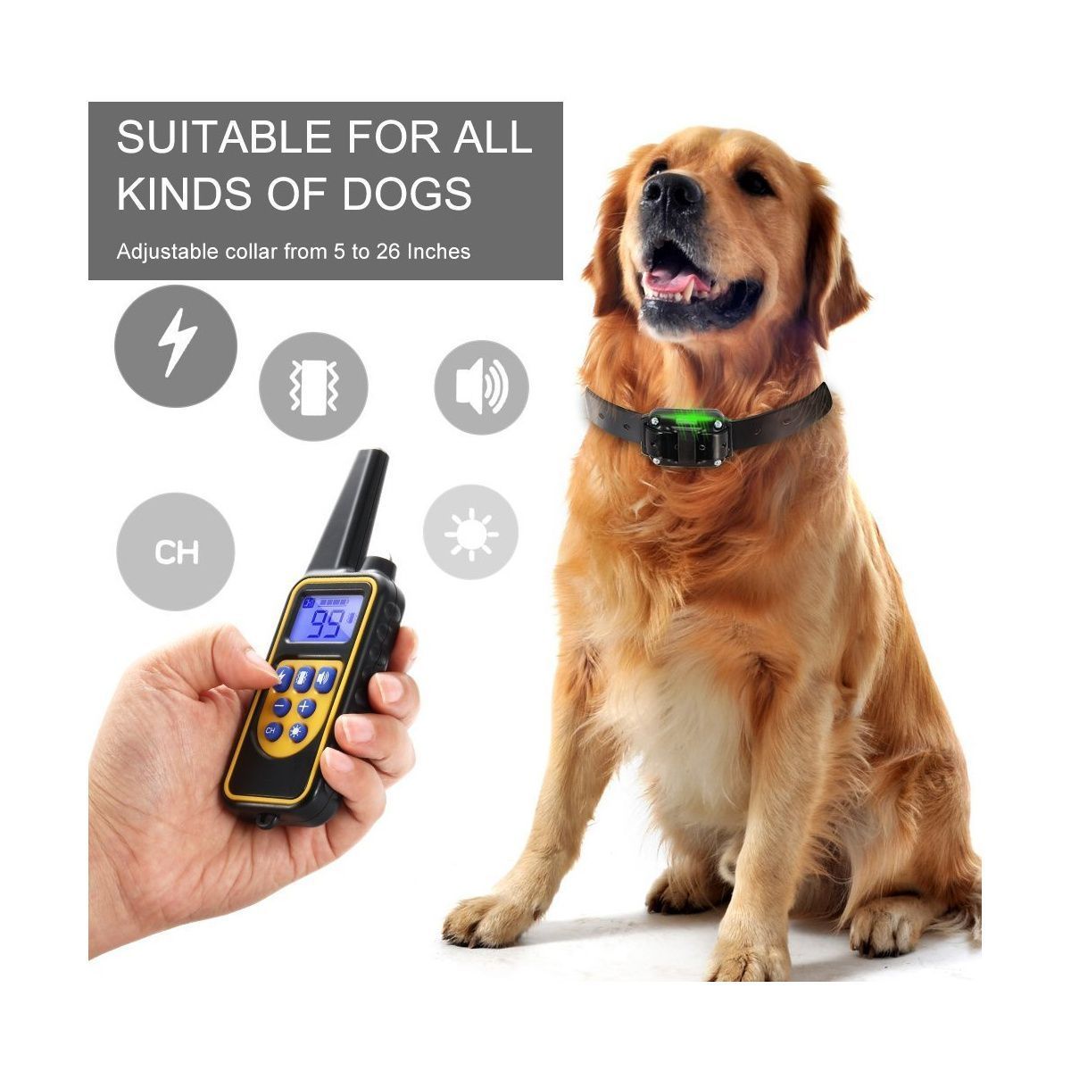 https://img.bestdeals.co.nz/products_pictures/187/18742_142610_F.jpg