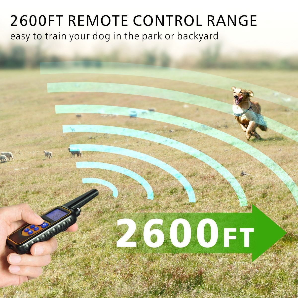 https://img.bestdeals.co.nz/products_pictures/187/18742_142615_F.jpg