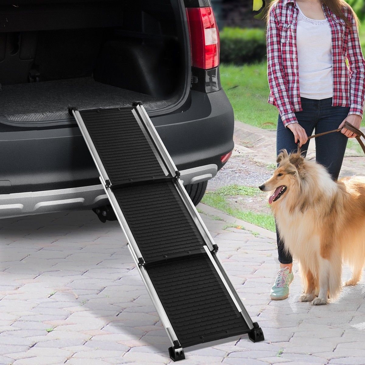 https://img.bestdeals.co.nz/products_pictures/187/18780_143184_F.jpg