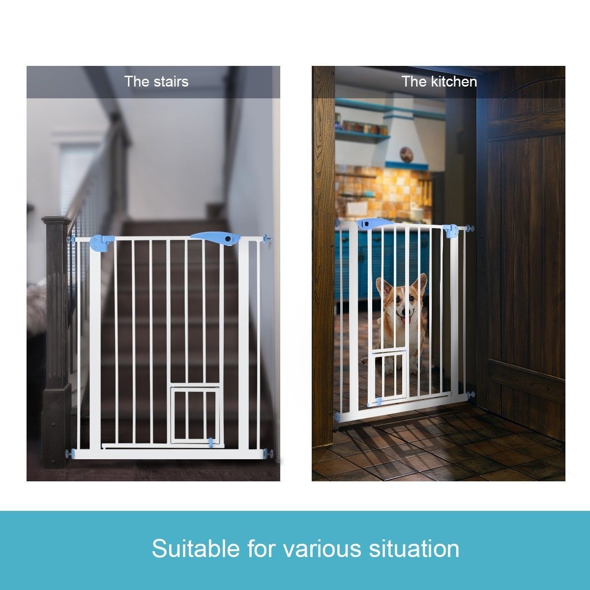 https://img.bestdeals.co.nz/products_pictures/188/18823_143599_F.jpg