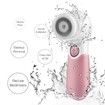 Face and Body Skin Cleansing Brush System with 3 Detachable Brush Heads and Handle