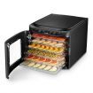 Maxkon Food Dehydrator Fruit Vegetable Meat Dryer w/6 Trays and Timer