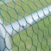 Chicken Run Coop Rabbit Hutch Guinea Pig Cage Cat Duck Hen Chook Enclosure - 6mx3m
