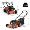 SHOGUN 3-In-1 Cordless Lawn Mower Self Propelled 18" 139cc 4 Stroke Petrol Lawnmower