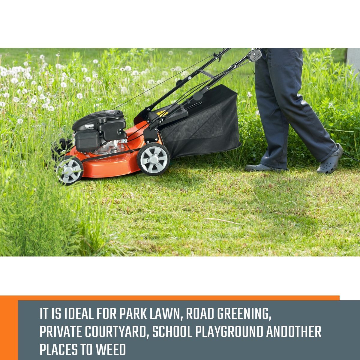 https://img.bestdeals.co.nz/products_pictures/191/19183_146815_F.jpg