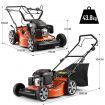 SHOGUN 2-In-1 Cordless Lawn Mower Self Propelled 21" 159cc 4 Stroke Petrol Lawnmower