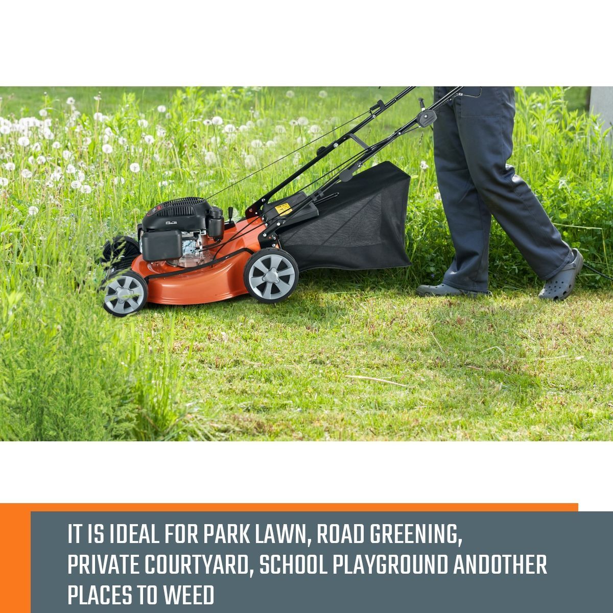 https://img.bestdeals.co.nz/products_pictures/191/19185_146837_F.jpg