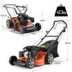 SHOGUN 3-In-1 Cordless Lawn Mower Self Propelled 21" 196cc 4 Stroke Petrol Lawnmower