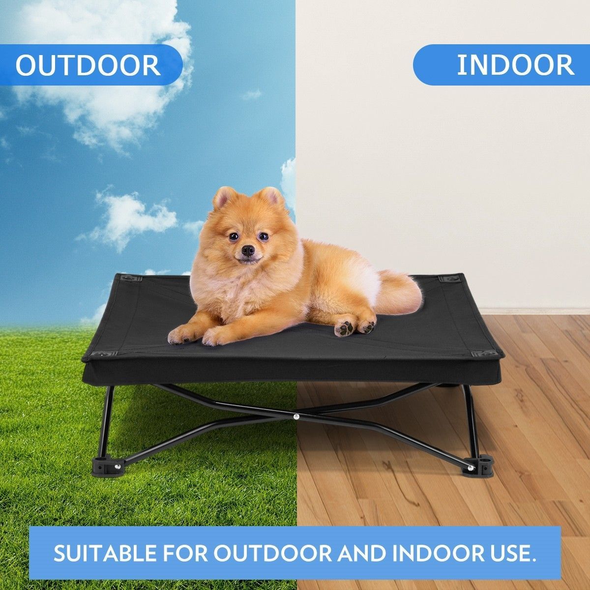 https://img.bestdeals.co.nz/products_pictures/193/19362_148696_F.jpg