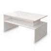 Modern Coffee Table Cabinet Storage Shelf High Gloss Wood Living Room Furniture - White