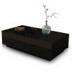 Modern 2 Drawer Coffee Table Cabinet Slide Top Storage High Gloss Wood Living Room Furniture - Black
