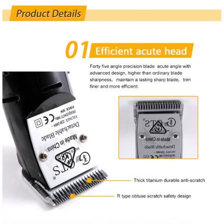 https://img.bestdeals.co.nz/products_pictures/2/267_98171_F.jpg