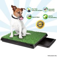 Dog Indoor Grass Toilet Pet Potty Training Pad Pet Loo Pee Tray Large