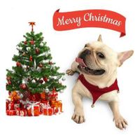 Christmas Pet Costume Dog Cat Puppy Jingling Bell Scarf Bandana