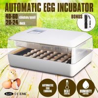 Automatic Egg Incubator with High Accuracy LED Temperature Display 

