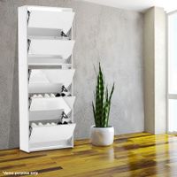 25 Pairs Mirrored Shoe Storage Cabinet