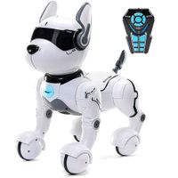 Remote Control Robot Dog Toy, Robots for kids, Rc Dog Robot Toys for Kids 2,3,4,5,6,7,8,9,10 year olds and up, smart & Dancing Robot Toy, Imitates Animals mini Pet Dog Robot