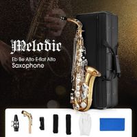 Melodic Alto Saxophone Eb Be E Flat Brass Alto Sax with Mouthpiece Case Straps
