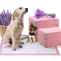PaWz 200 Pcs 60x60 cm Pet Puppy Toilet Training Pads Absorbent Lavender Scent