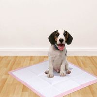 PaWz 400 Pcs 60x60 cm Pet Puppy Toilet Training Pads Absorbent Lavender Scent