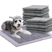 PaWz 400 Pcs 60x60cm Charcoal Pet Puppy Dog Toilet Training Pads Ultra Absorbent