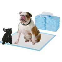 PaWz 100 Pcs 60x60cm Ultra Absorbent Puppy Pet Dog Cat Toilet Training Pads Blue