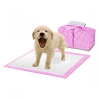 PaWz 100pcs 60x60cm Puppy Pet Dog Indoor Cat Toilet Training Pads Absorbent Pink