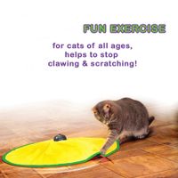 Motorized Wand Cat Toy, 4 Speed Settings, The Toy Your Cat Can't Resist