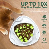 AFP Dog Slow Feeder Bowl Puzzle Pet Cat Fun Food Eating Anti-Gulping Bloat Interactive Dish
