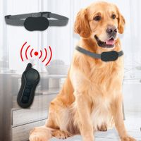 Automatic Dog Training Anti-Bark Device Vibration Anti-Bark Collar Rechargeable E Waterproof Col White