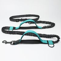 Hands Free Dog Leash for Medium and Large Dogs Training, Walking, Jogging and Running Your Pet