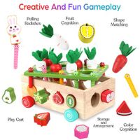Montessori Educational Wooden Toys for Baby Boys Girls Shape Sorting Toys Gifts for 1-3 Year Olds Fine Motor Skills Game
