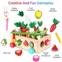 Montessori Educational Wooden Toys for Baby Boys Girls Shape Sorting Toys Gifts for 3+ Year Olds Fine Motor Skills Game