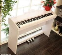 MELODIC 100 Rhythm 88 Standard Digital Piano- White