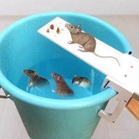 DIY Home Garden Pest Controller Mousetrap Quick Kill Seesaw Mouse Catcher Bait House