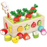 Educational Wooden Toys for Toddlers Boys Girls Ages 3+, Shape Sorting Toys,Preschool Learning Fine Motor Skills Game