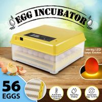 Petscene 56 Eggs Incubator Egg Hatching Machine Clear View with Automatic Roller Turner Temperature Control