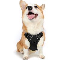 Dog Harness,No-Pull Pet Harness with 2 Leash Clips,Adjustable Soft Padded Dog Vest,Reflective Outdoor Pet Oxford Vest with Easy Control Handle,Medium Size,Black