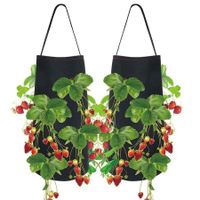 1Pcs Garden Hanging Strawberry Plant Bag, Multifunctional Vegetable Flower Plant Growing Bags for Strawberry Flowers, Black