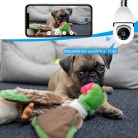 Light Bulb Camera with Full HD 1080P, 360 Degree Panoramic Camera for Home,Baby,Pet Monitor