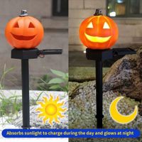 Halloween Outdoor Solar Landscape Decoration Lighting Pathway Lights for Yard Garden 1Pack